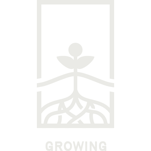 next-steps-growing